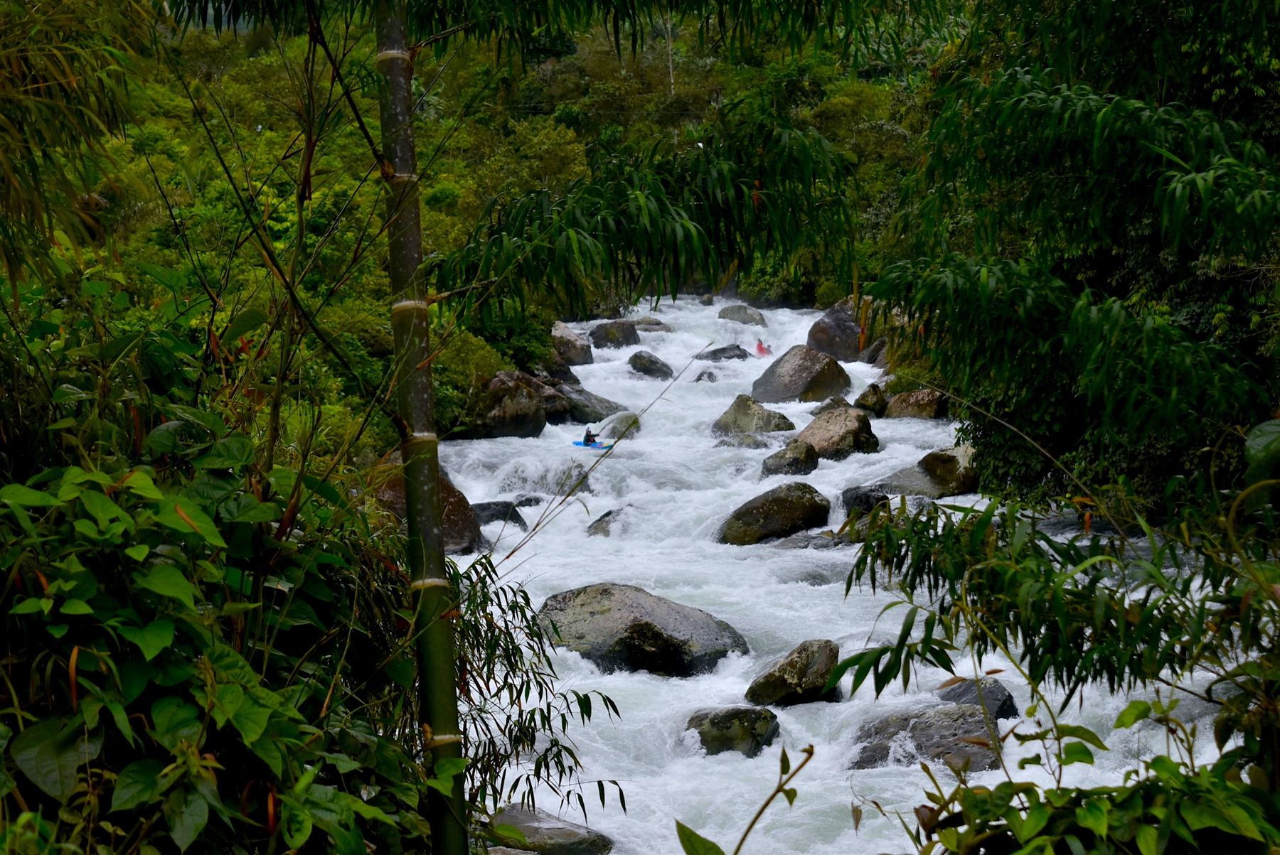 Two kayakers on a boulder-filled rapid framed by bamboo and cloud forest