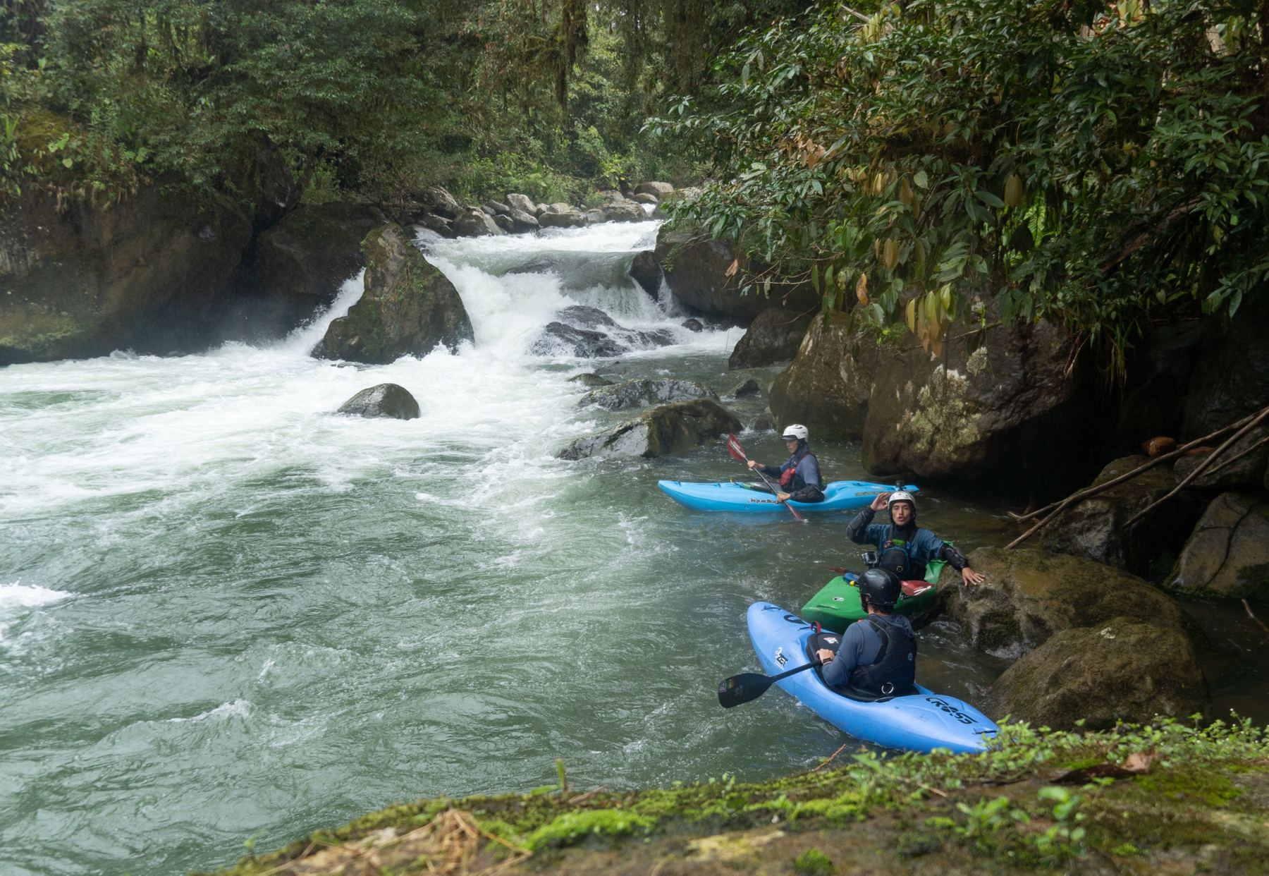 Three kayakers in an eddy below a rapid in the jungle
